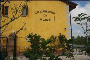 La Cascina Di Alice Bed & Breakfast Castiglione Delle Stiviere Exterior foto