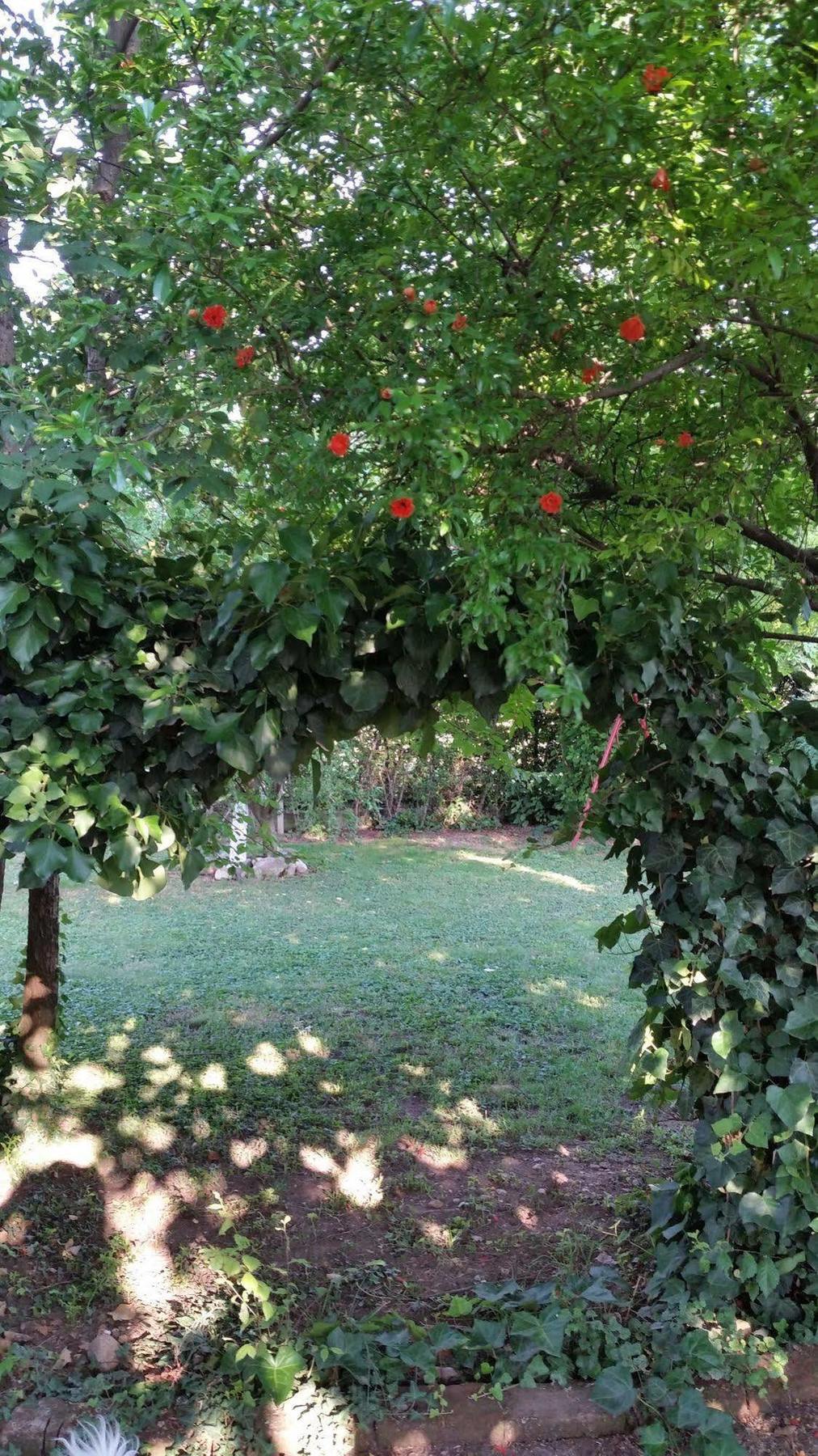 La Cascina Di Alice Bed & Breakfast Castiglione Delle Stiviere Exterior foto